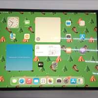 Apple iPad Pro 2 2017 64GB (A1701) (без SIM)