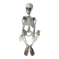 Скелет Пластмасса 60см