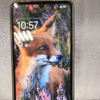 POCO C65 6/128GB (2310FPCA4G) Duos