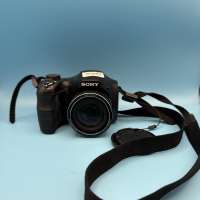 Sony Cyber-shot DSC-H100 (СЗУ не требуется)