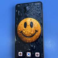 Samsung Galaxy S21 FE 5G 8/256GB (G990E) Duos