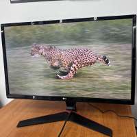 LG 24MP59G-P