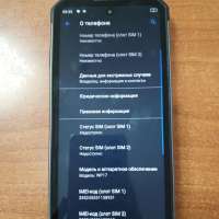 OUKITEL WP17 8/128GB Duos