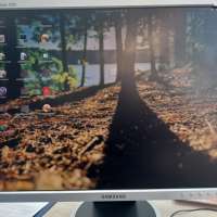 Samsung SyncMaster 203B