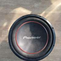 Pioneer TS-W304R