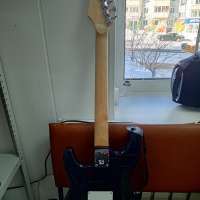 TERRIS без модели (электрогитара)